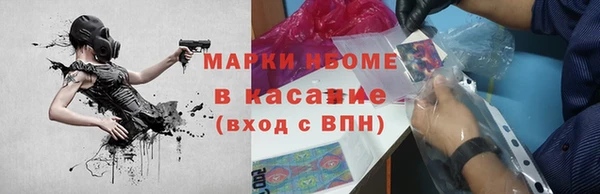 прущие грибы Михайловск
