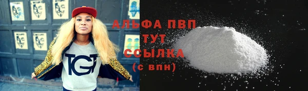 прущие грибы Михайловск