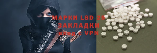 прущие грибы Михайловск