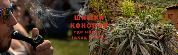прущие грибы Михайловск