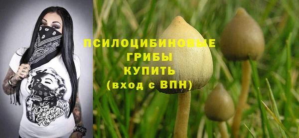 МДПВ Михайловка