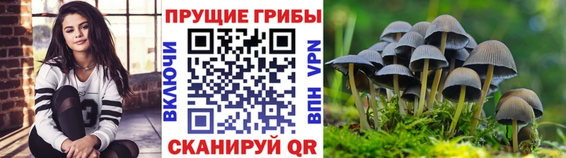 Псилоцибиновые грибы GOLDEN TEACHER Заозёрный